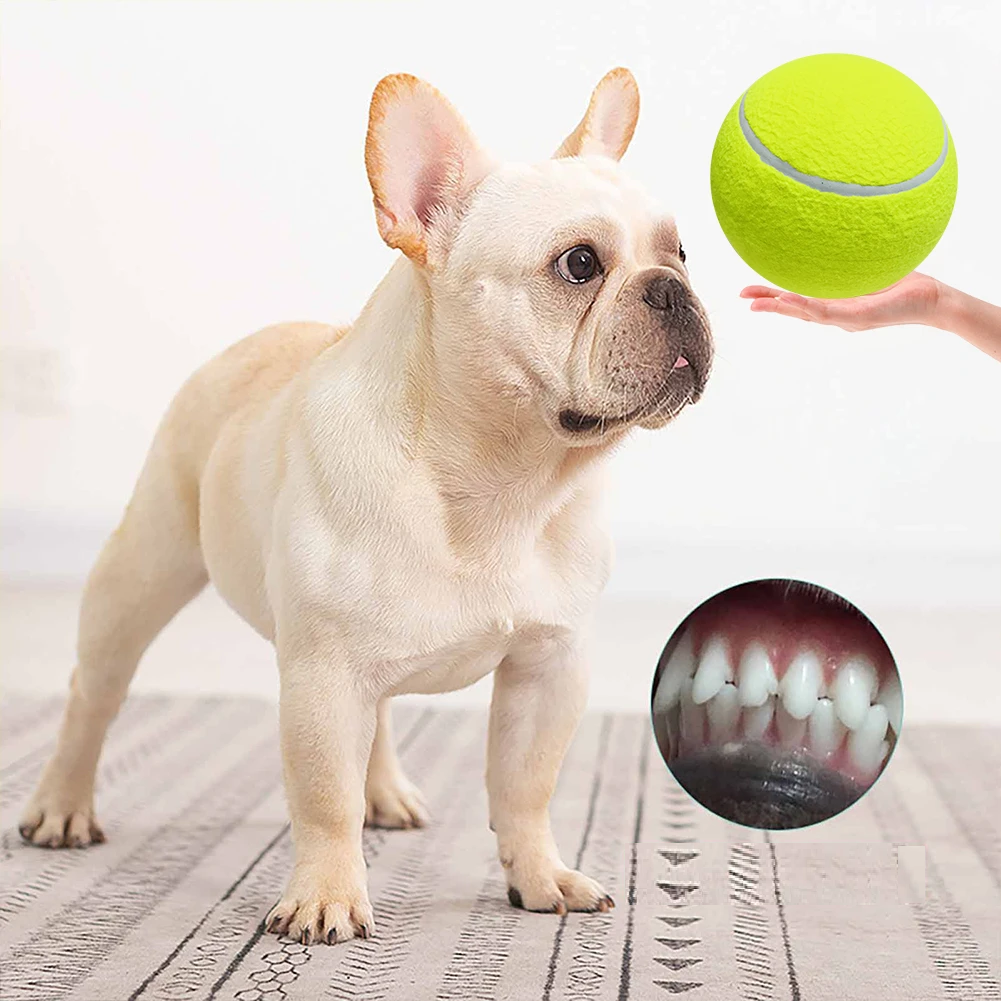 Gianti™ | Monster-Tennisball für Hunde